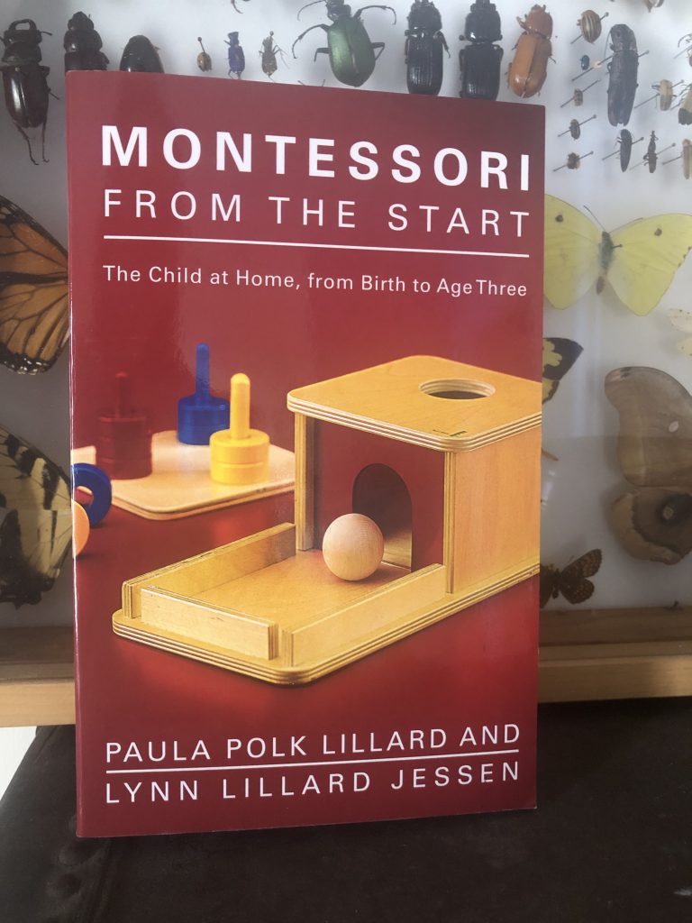 Montessori From The Start Book cover, red with subtitle The Child At Home, from Birth to Age Three by Paula Polk Lillard and Lynn Dillard Jessen
